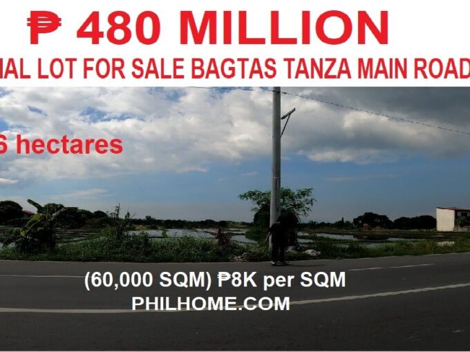 Commercial Lot For Sale Bagtas Tanza Main Road Cavite 480 Million