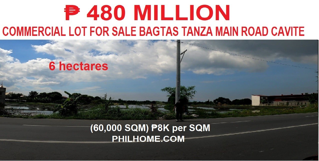 Commercial Lot For Sale Bagtas Tanza Main Road Cavite 480 Million